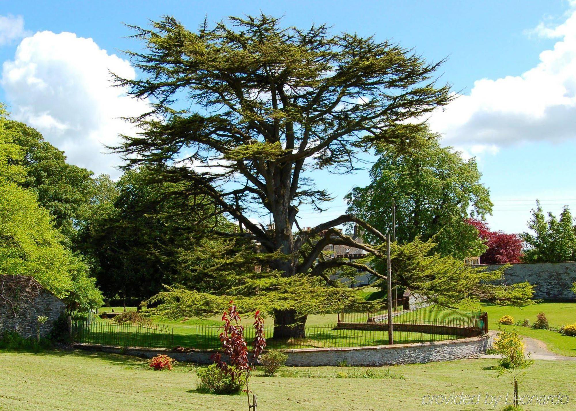 The Urr Valley Country House Hotel 道格拉斯城堡 外观 照片